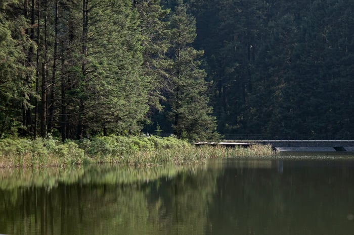 2024.08 Evento hongos-14-edit2