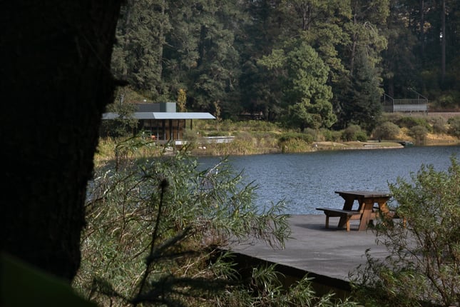 2024.12 Vivian Alderete - Madroño ll-14-edit