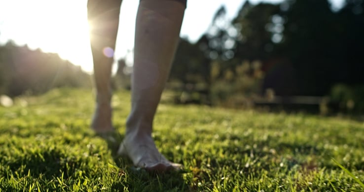 Grounding-ch