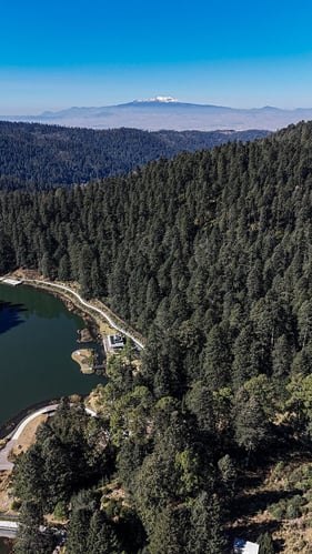 Imagen de WhatsApp 2024-02-22 a las 16.25.25_e83620c4-ch