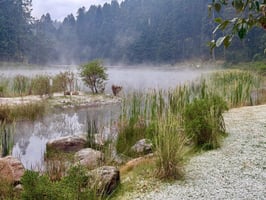 Reserva Santa Fe - Paisaje