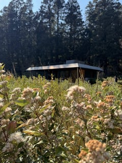 PGGA- Pabellon + plantas-edit