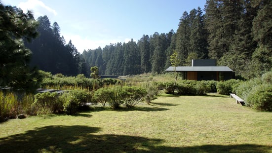 Paisaje - Exterior Madroño y Lago (20)_ed