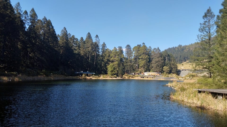 Paisaje - Lago y Arboles