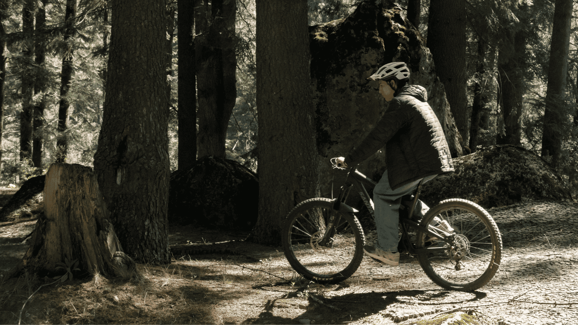 Sendero bicicletas