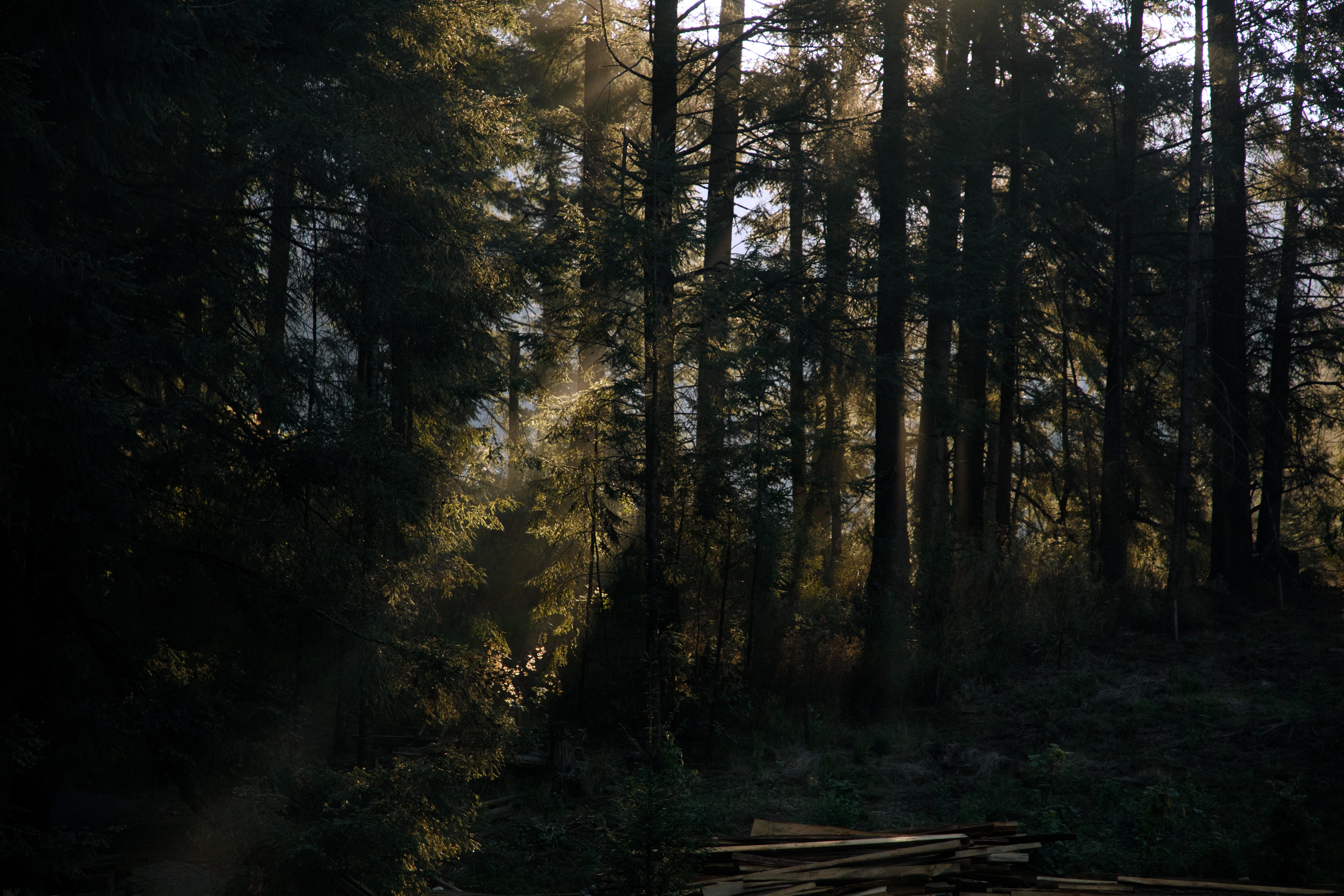 Vivian Alderete - Paisaje-2-edit