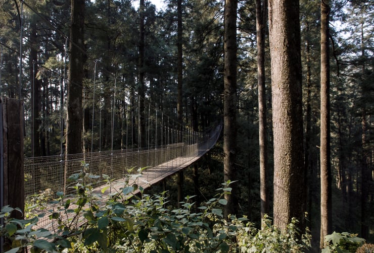 Vivian Alderete - RSF Introspecta-15-edit