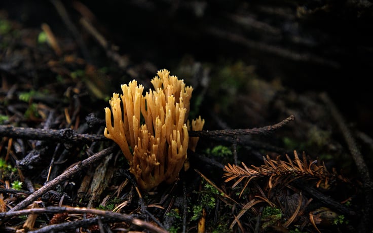 Vivian Alderete - Reserva 8 ago-17-edit